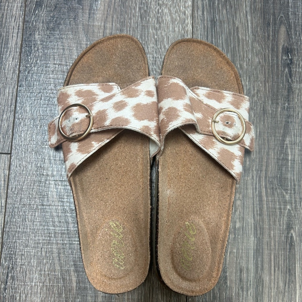 Aerie slides